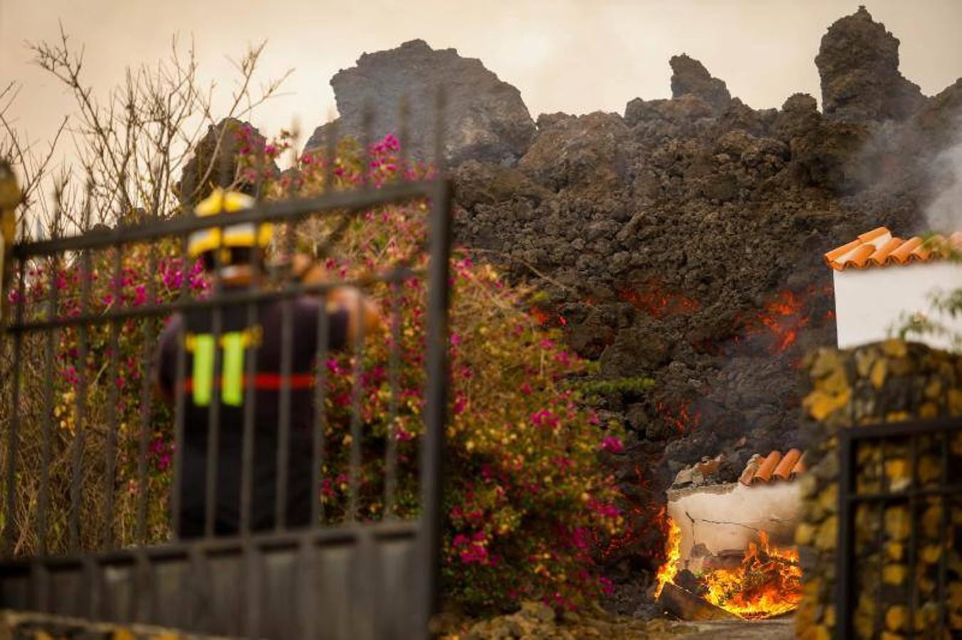 La lengua de lava del volcán de Cumbre Vieja, que entró en erupción el pasado domingo en La Palma, ha arrasado más de 166 hectáreas y centenares edificaciones. Aún sigue en fase explosiva y sus cenizas ya han llegado a la isla de La Gomera. La columna de gases de la erupción ya alcanza una altura de seis kilómetros sobre el nivel del mar. 