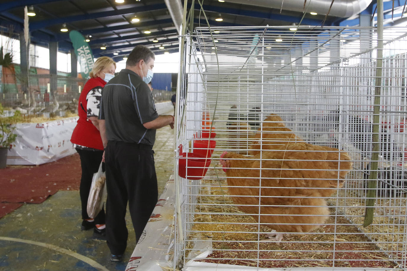 Estas son las mejores imágenes de la jornada de hoy en Agropec.
