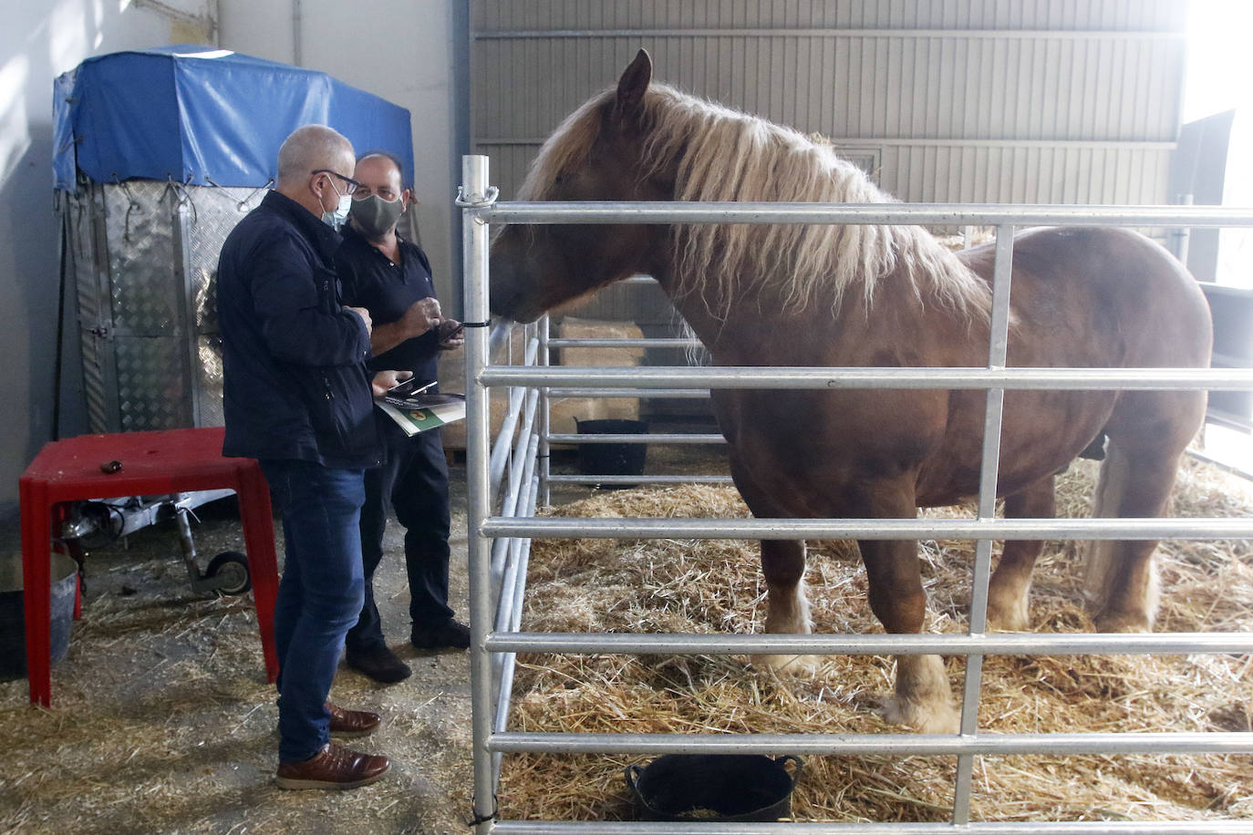 Estas son las mejores imágenes de la jornada de hoy en Agropec.