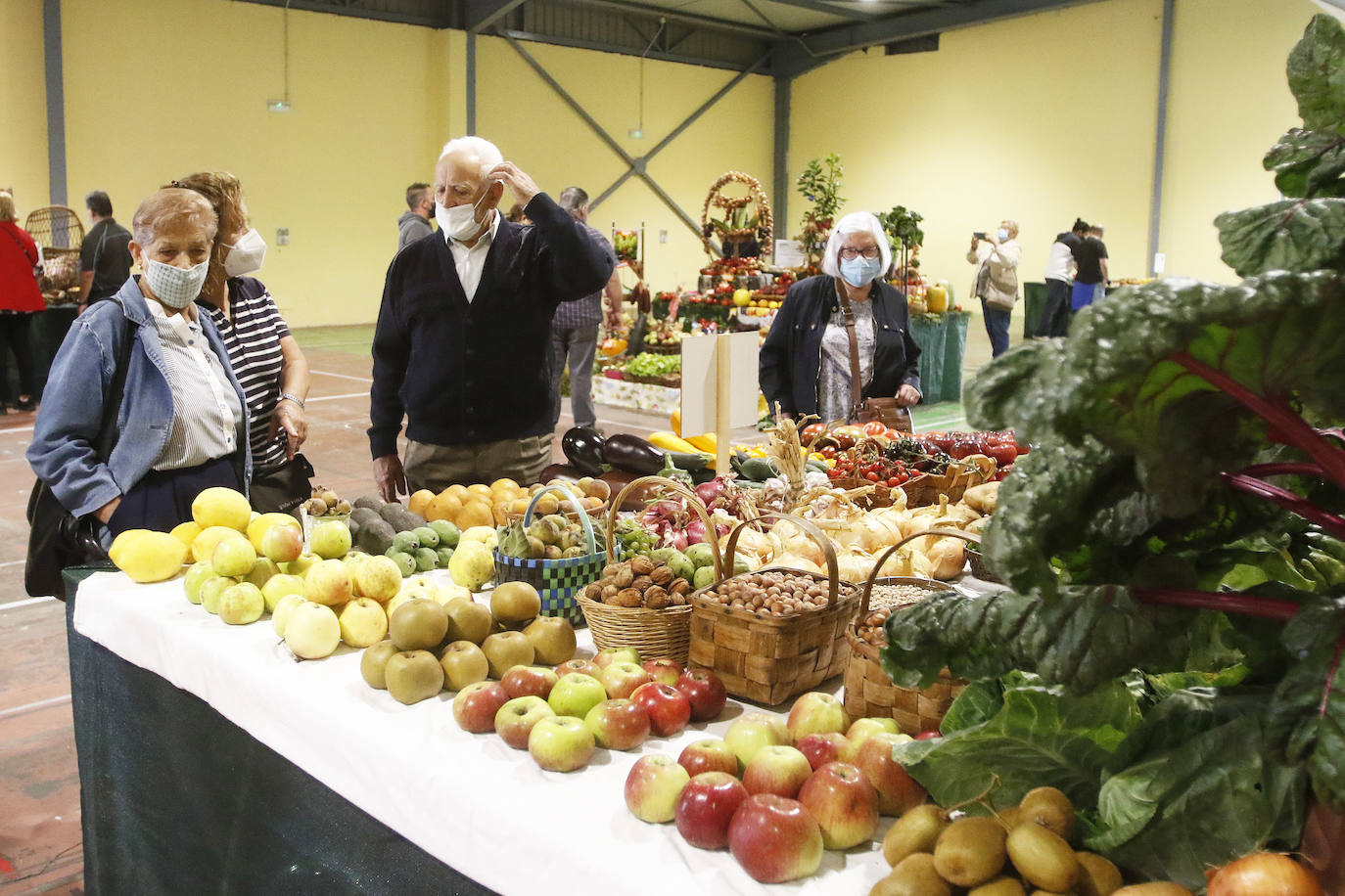 Estas son las mejores imágenes de la jornada de hoy en Agropec.