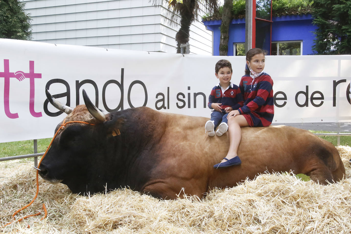 Estas son las mejores imágenes de la jornada de hoy en Agropec.