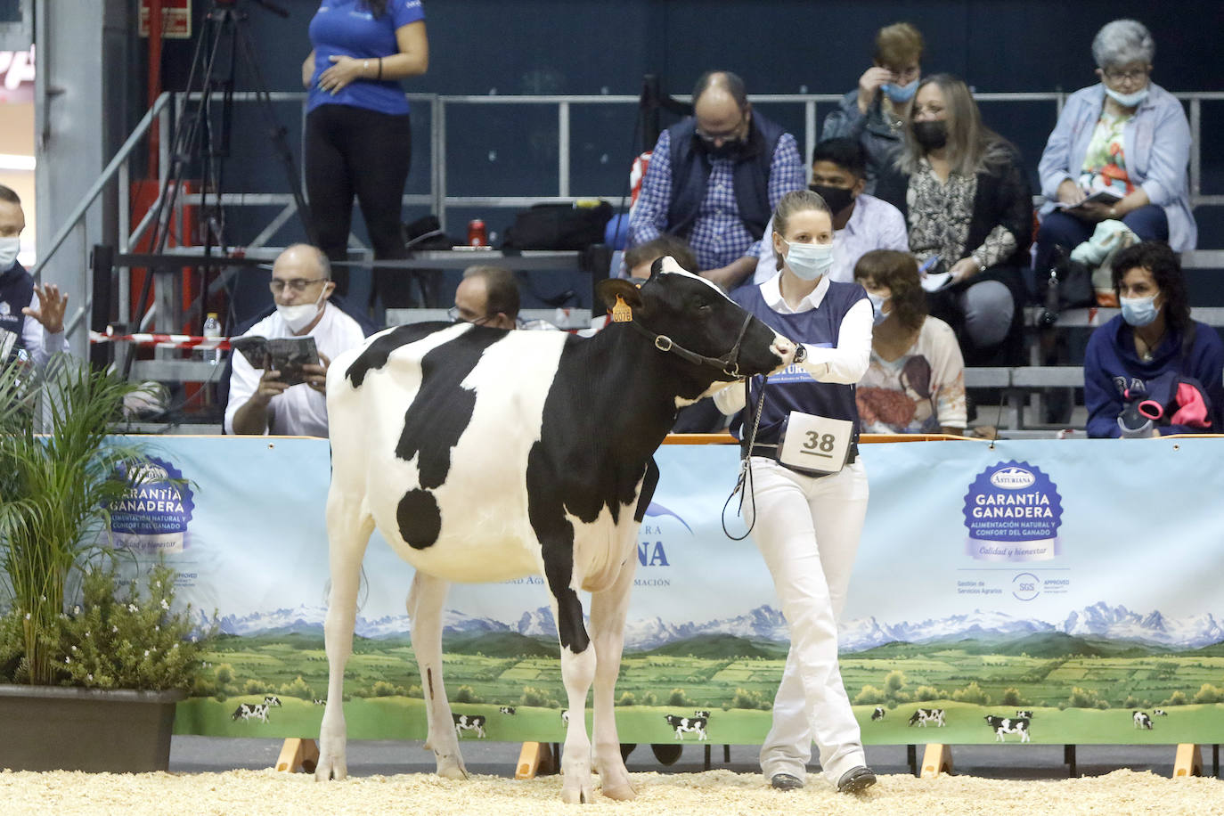 Estas son las mejores imágenes de la jornada de hoy en Agropec.