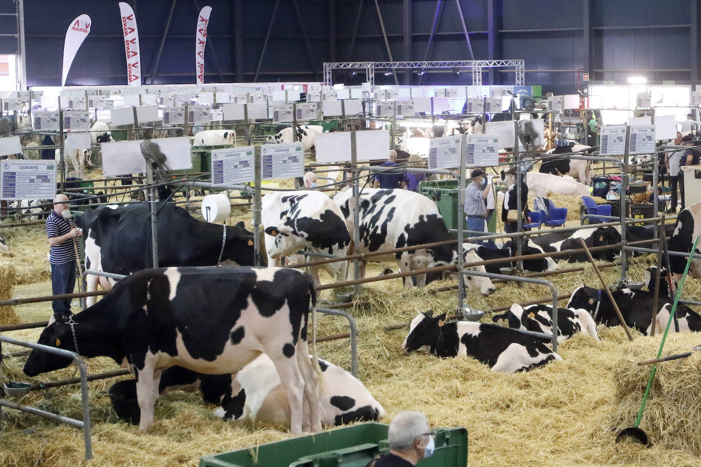 Estas son las mejores imágenes de la jornada de hoy en Agropec.