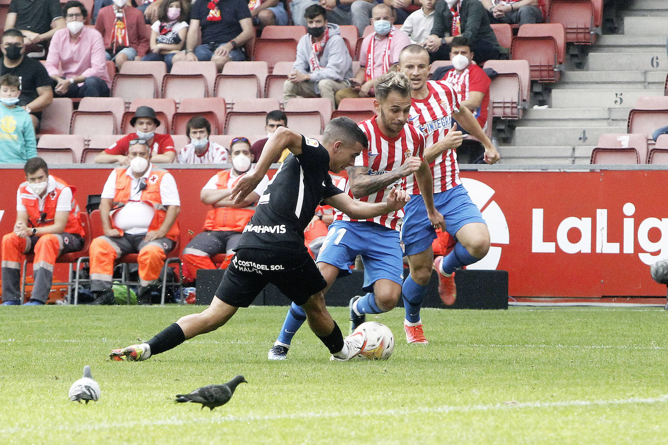 Fotos: Las mejores imágenes del Sporting - Málaga