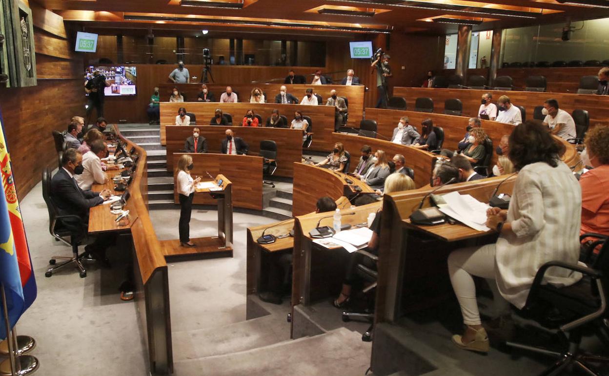 Pleno de la Junta General.