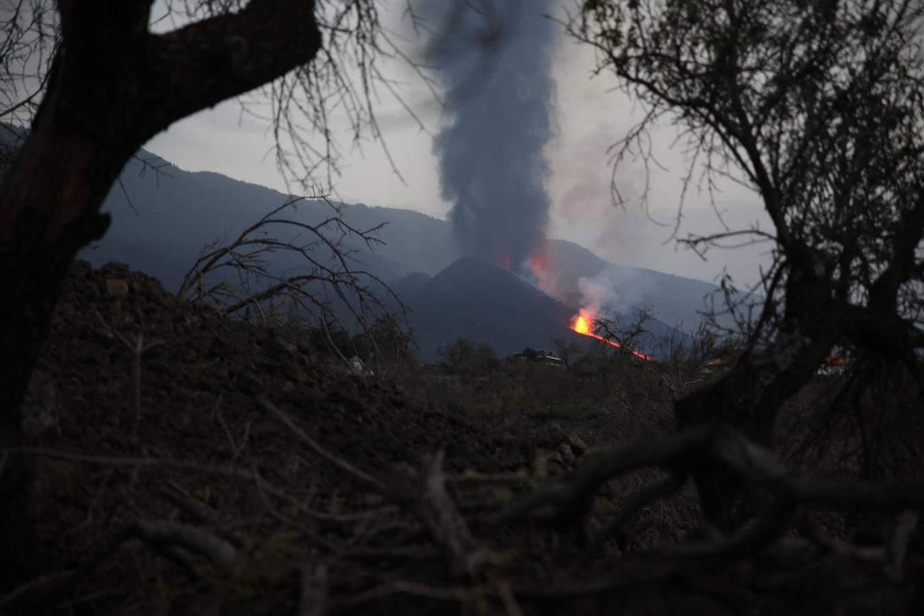 La lava del volcán de Cumbre Vieja en La Palma arrasa con todo a su paso, ya ha destruido un millar de edificaciones y amenaza con otro tanto. La erupción ha cambiado la fisionomía de La Palma, ha ganado al mar 17,2 hectáreas y eleva 3 grados la temperatura del mar. 