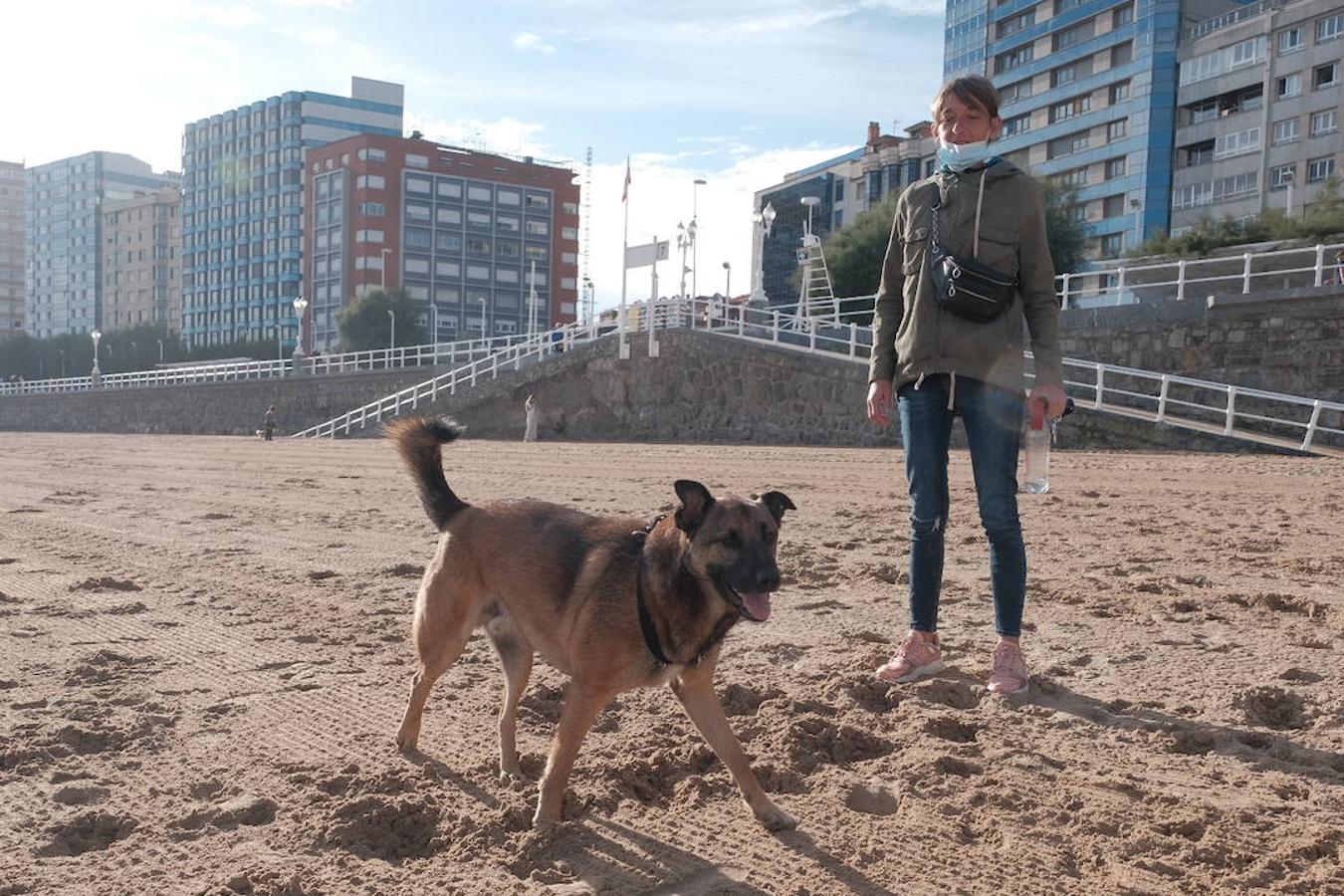 Como todos los años, el primer día de octubre, finalizada la temporada oficial de baños, decenas de perros disfrutaron del reencuentro con la playa de San Lorenzo. El retorno de los chapoteos por la orilla y las carreras detrás de las pelotas por la arena de los animales coincidió además con al tregua del buen tiempo durante las primeras horas. 