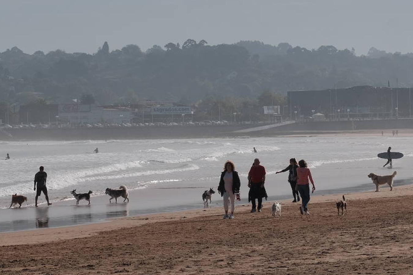 Como todos los años, el primer día de octubre, finalizada la temporada oficial de baños, decenas de perros disfrutaron del reencuentro con la playa de San Lorenzo. El retorno de los chapoteos por la orilla y las carreras detrás de las pelotas por la arena de los animales coincidió además con al tregua del buen tiempo durante las primeras horas. 