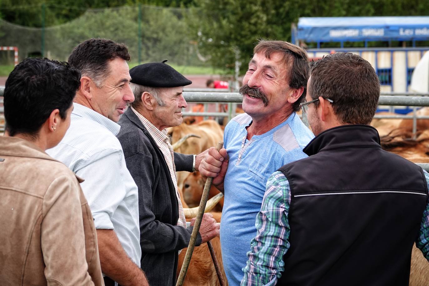 Un año más, el prao de La Ería, en la capital del concejo de Ribadedeva, acoge su Exposición de Ganado, organizada por la Asociación de Ganaderos de Ribadedeva y el Ayuntamiento. Al evento acudieron ejemplares tanto de bovino y equino como de ovino y caprino. Es el séptimo año que Colombres es escenario de este evento.