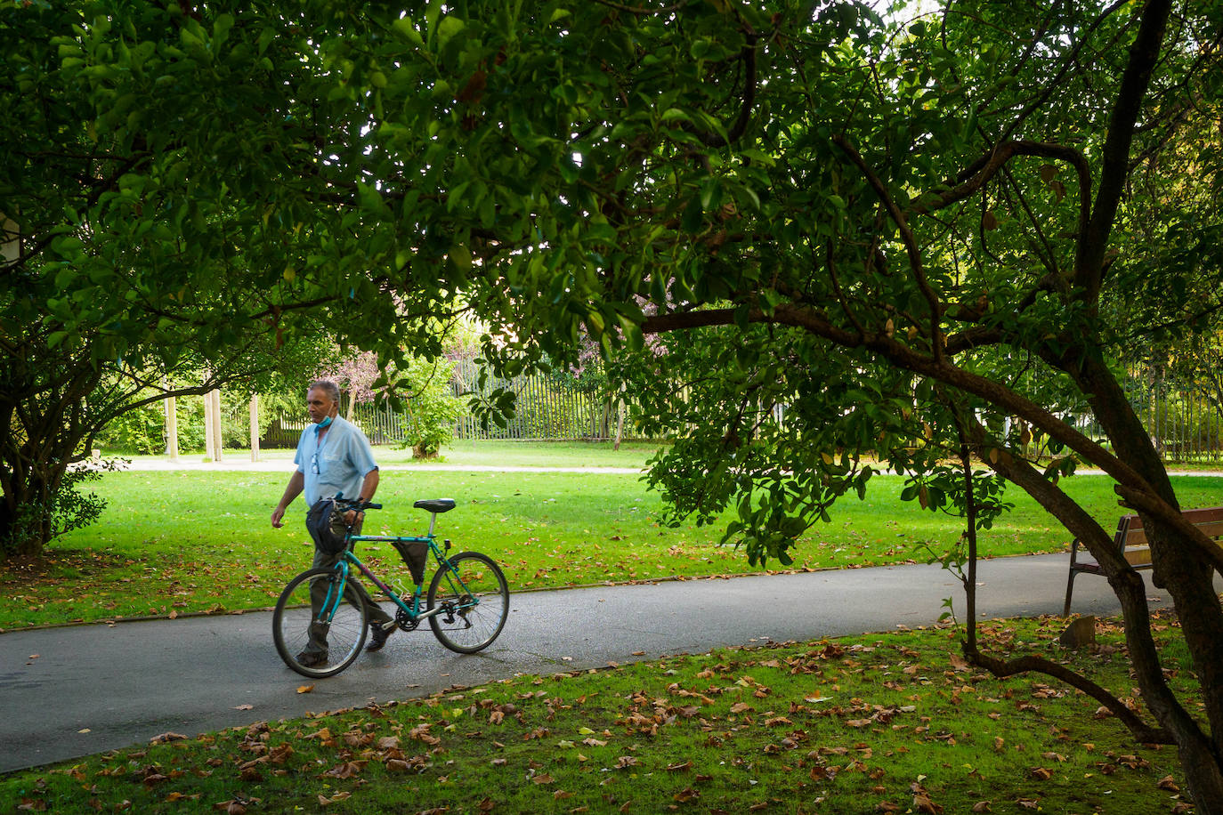 Las mejores instantáneas de este otoño que comienza han sido captadas por los fotógrafos: Mario Rojas, Pablo Lorenzana, Juan Carlos Román, Omar Antuña, Paloma Ucha, Juan Carlos Tuero y Xuan Cueto.