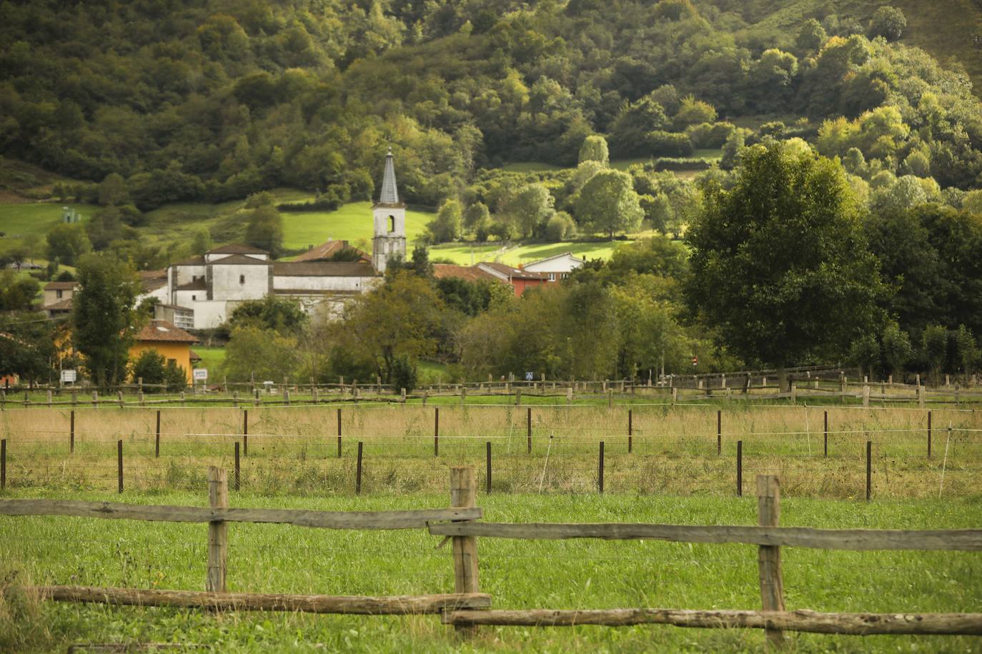 Las mejores instantáneas de este otoño que comienza han sido captadas por los fotógrafos: Mario Rojas, Pablo Lorenzana, Juan Carlos Román, Omar Antuña, Paloma Ucha, Juan Carlos Tuero y Xuan Cueto.