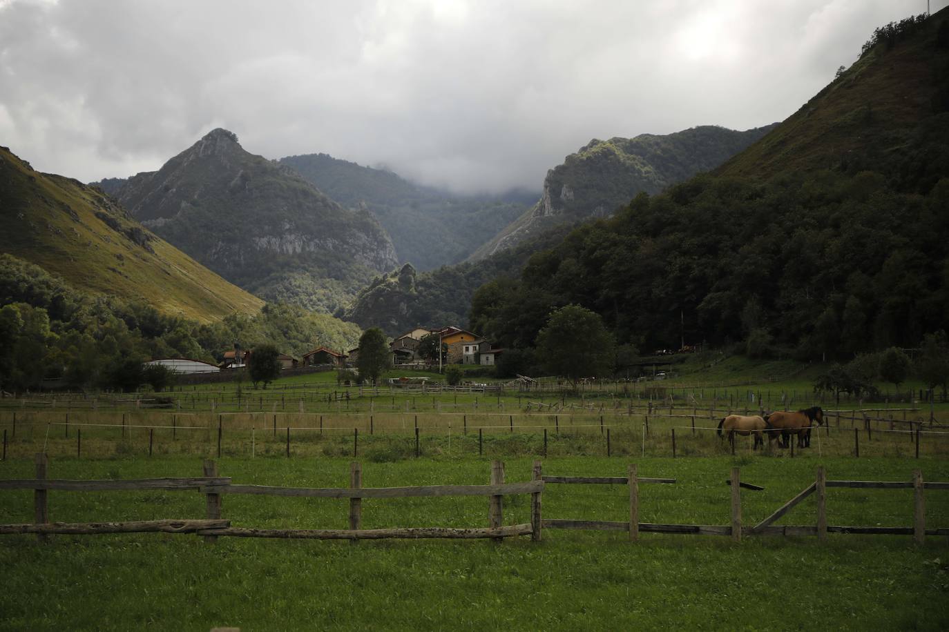 Las mejores instantáneas de este otoño que comienza han sido captadas por los fotógrafos: Mario Rojas, Pablo Lorenzana, Juan Carlos Román, Omar Antuña, Paloma Ucha, Juan Carlos Tuero y Xuan Cueto.