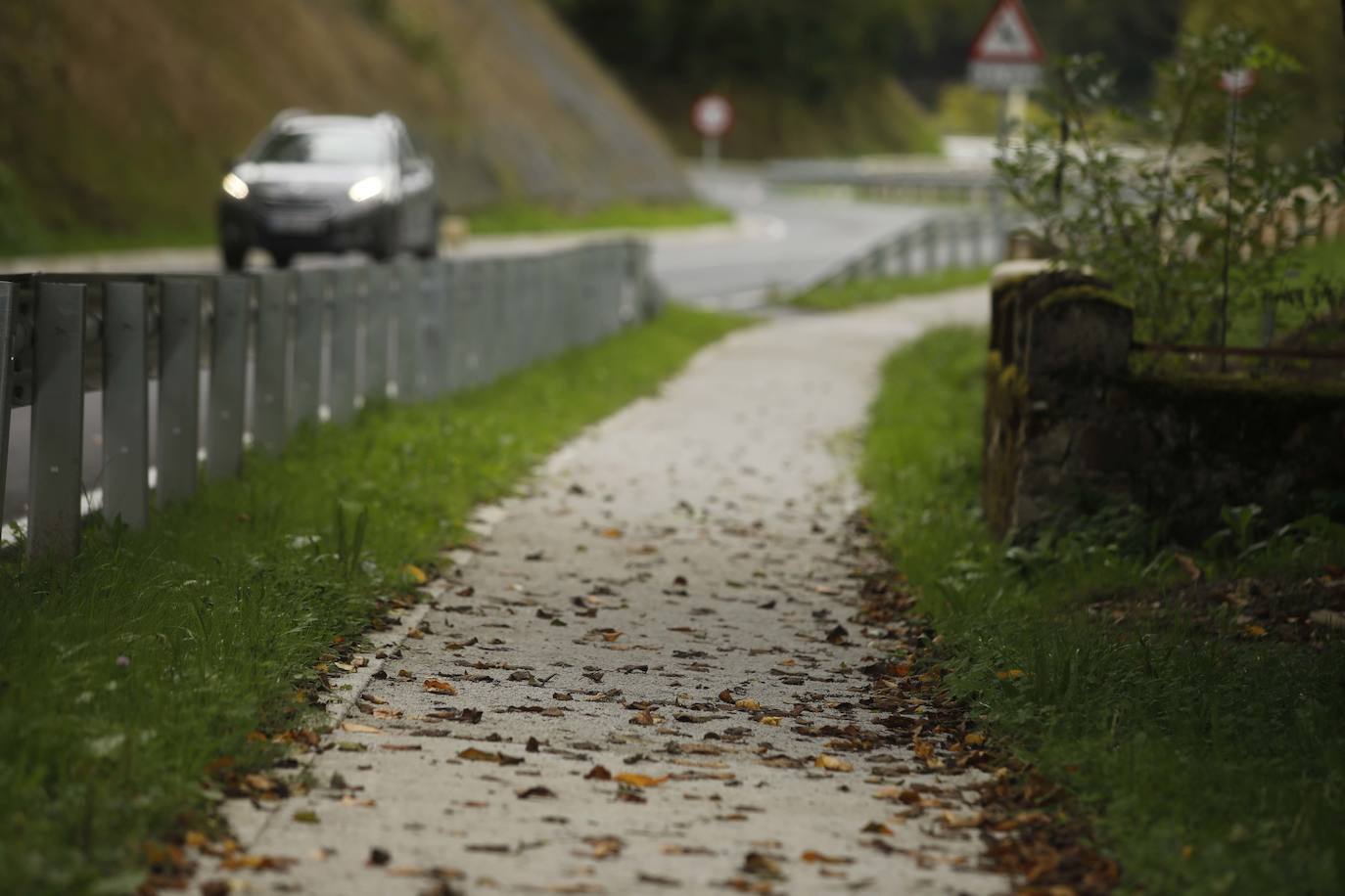 Las mejores instantáneas de este otoño que comienza han sido captadas por los fotógrafos: Mario Rojas, Pablo Lorenzana, Juan Carlos Román, Omar Antuña, Paloma Ucha, Juan Carlos Tuero y Xuan Cueto.