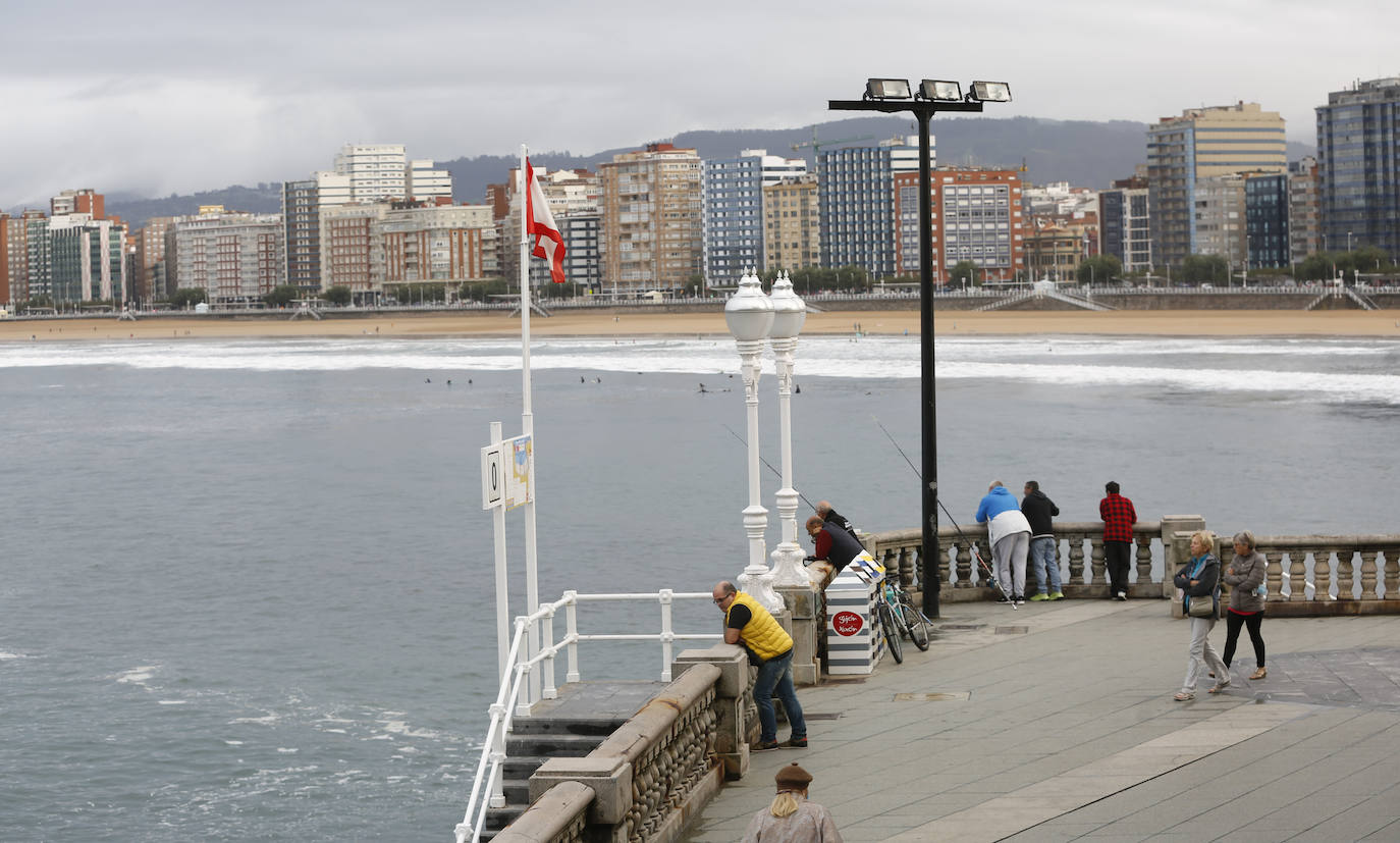 Las mejores instantáneas de este otoño que comienza han sido captadas por los fotógrafos: Mario Rojas, Pablo Lorenzana, Juan Carlos Román, Omar Antuña, Paloma Ucha, Juan Carlos Tuero y Xuan Cueto.