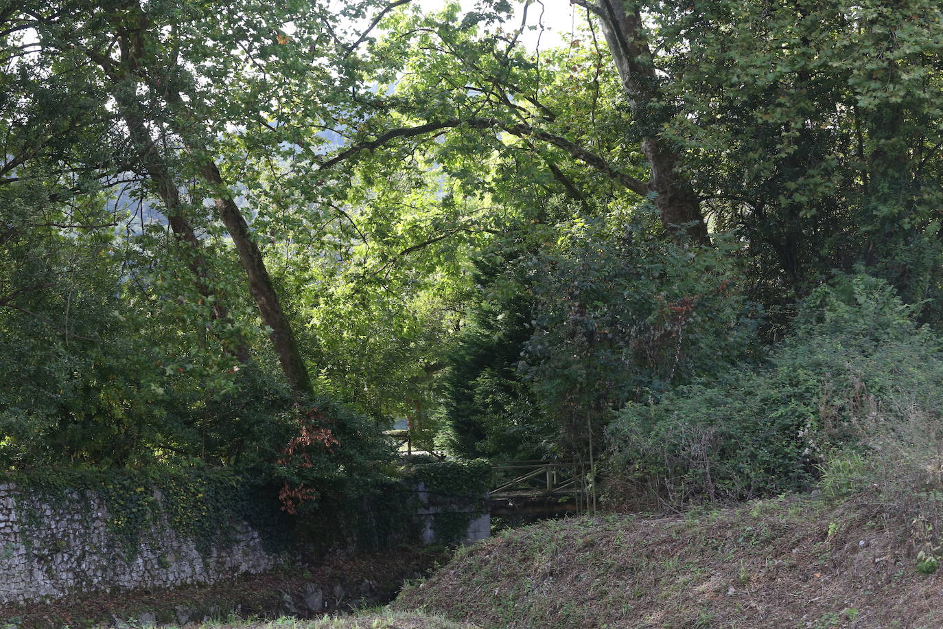 Las mejores instantáneas de este otoño que comienza han sido captadas por los fotógrafos: Mario Rojas, Pablo Lorenzana, Juan Carlos Román, Omar Antuña, Paloma Ucha, Juan Carlos Tuero y Xuan Cueto.