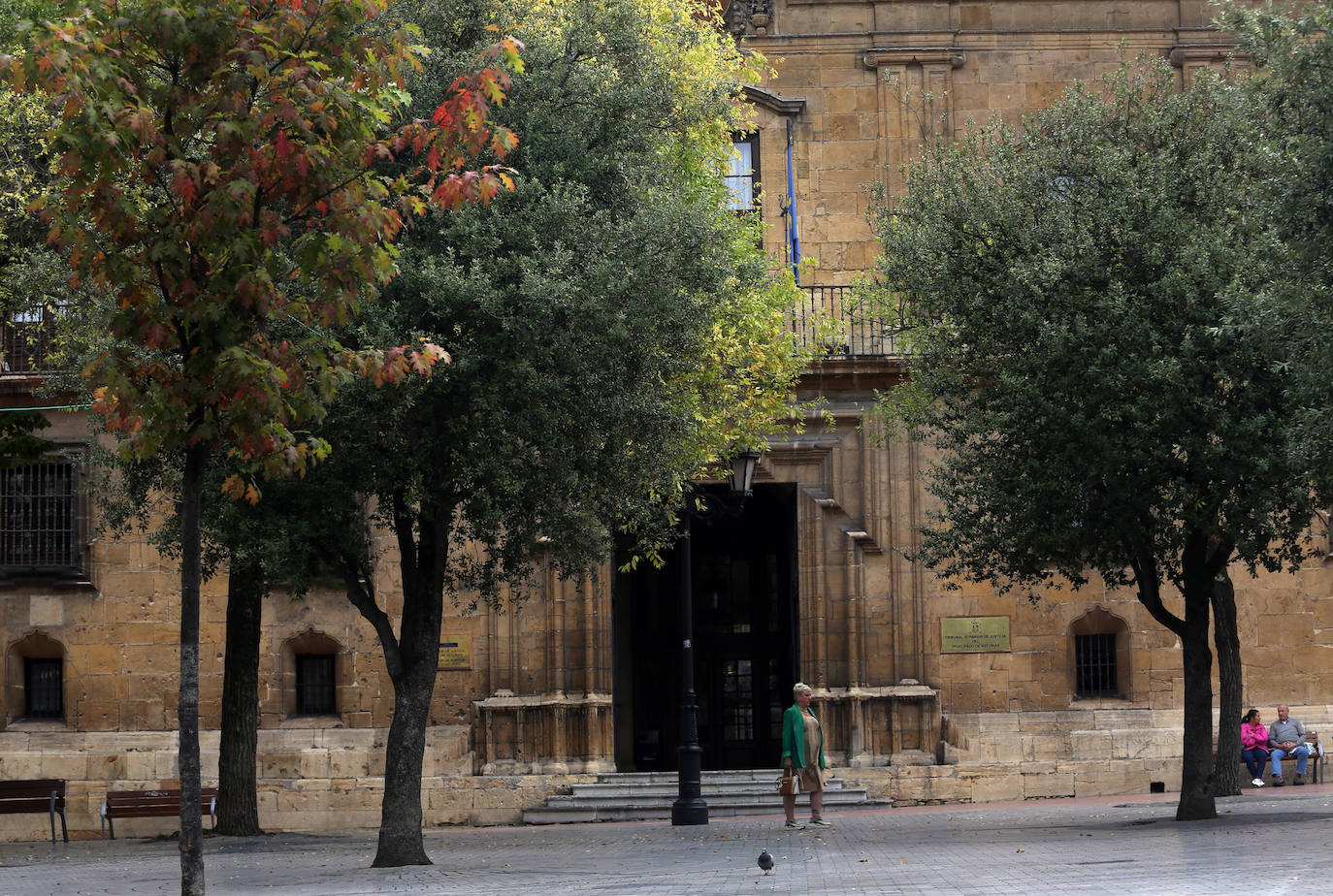 Las mejores instantáneas de este otoño que comienza han sido captadas por los fotógrafos: Mario Rojas, Pablo Lorenzana, Juan Carlos Román, Omar Antuña, Paloma Ucha, Juan Carlos Tuero y Xuan Cueto.