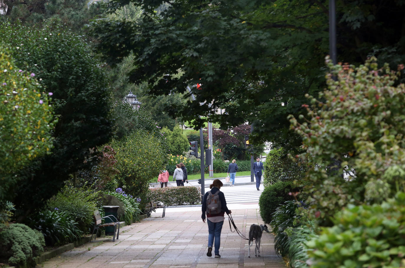 Las mejores instantáneas de este otoño que comienza han sido captadas por los fotógrafos: Mario Rojas, Pablo Lorenzana, Juan Carlos Román, Omar Antuña, Paloma Ucha, Juan Carlos Tuero y Xuan Cueto.