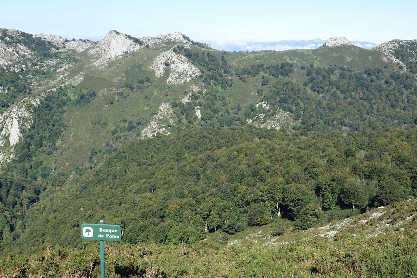 Bosque de Pome: Se trata de uno de los bosques más representativos de Los Picos de Europa, ya que es el mayor hayedo de la superficie occidental. Destaca por la frondosidad, pero sobre todo por esa belleza de tonos que integra. En las zonas más bajas del mismo, nos encontraremos con Robles y a medida que vayamos ascendiendo aparecerán hayedos y abedules. Además transcurre cercano a los rios Pomperi y Pelabarda. Una presencia fluvial que favorece esa variedad de Flora y fauna que posee este bosque.