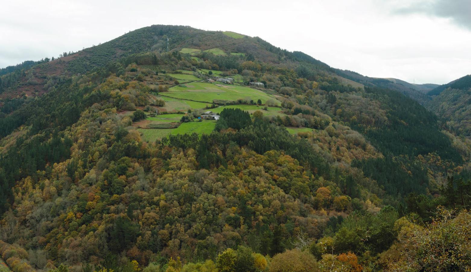 Bosques de Taramundi: Se encuentra en otra de las reservas de la biosfera de Asturias y concretamente en la zona occidental. Una reserva con numerosas rutas con las que poder disfrutar de la naturaleza, entre ellas una de las más espectaculares y conocidas es la ruta de Agua. Un precioso recorrido de poco más de 13 km, en el que podrás disfrutar de frondosos bosques repletos de castaños y robles, acompañados de preciosas cascadas que hacen de este un paisaje aún más idílico.