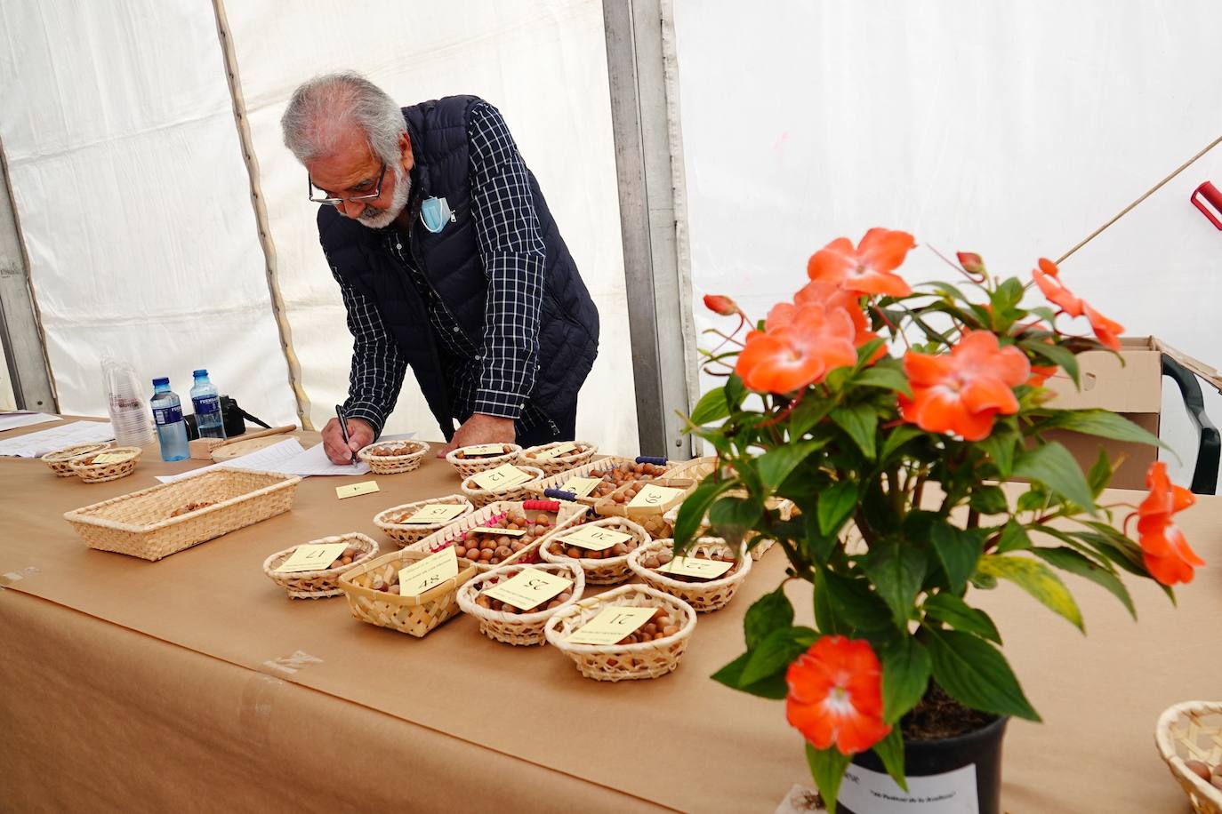 65 puestos de toda Asturias se han dado cita en Piloña para una nueva edición del Festival de la Avellena. Se han vendido más de tres toneladas del fruto.