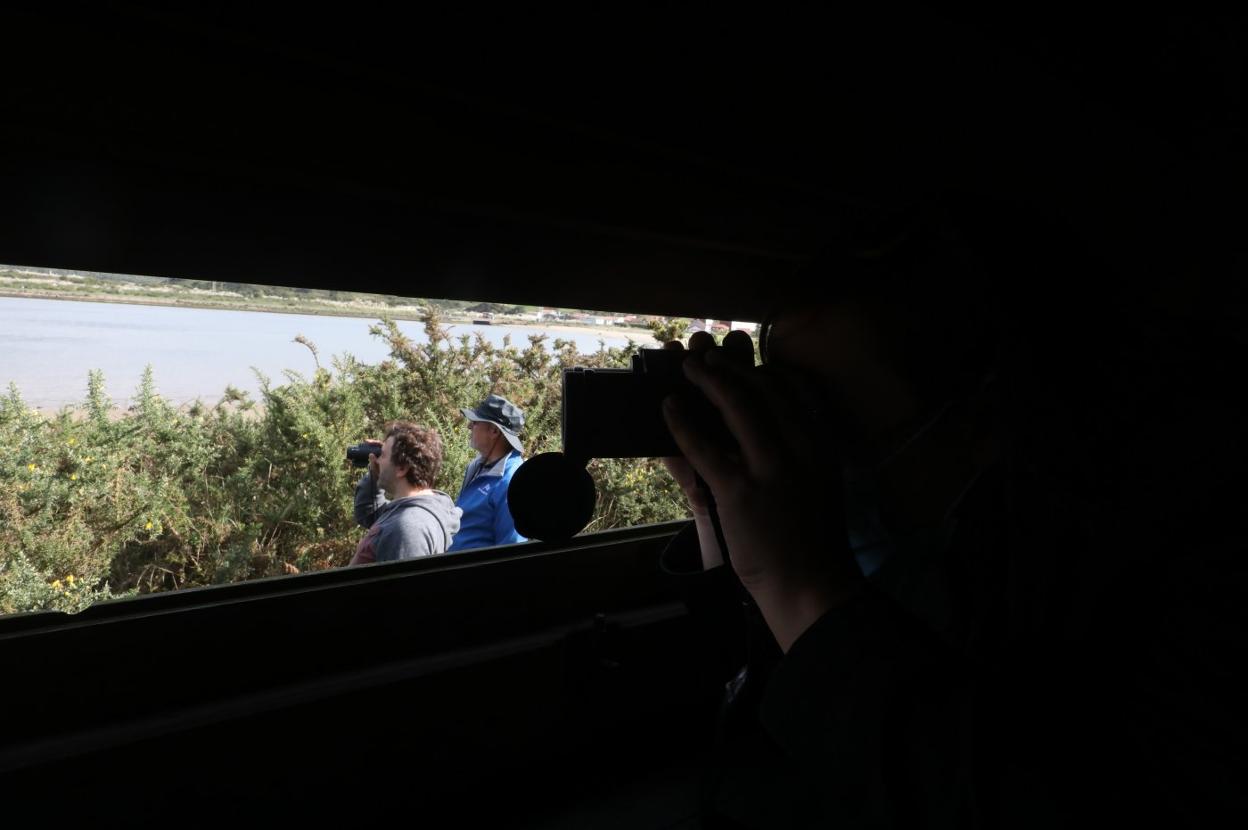 Las aves repostan en Avilés