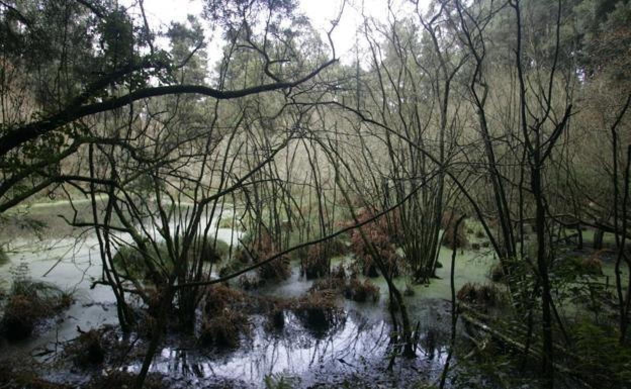 Vistas de las lagunas de Salave en cuyo entorno se instalará una mina de oro 