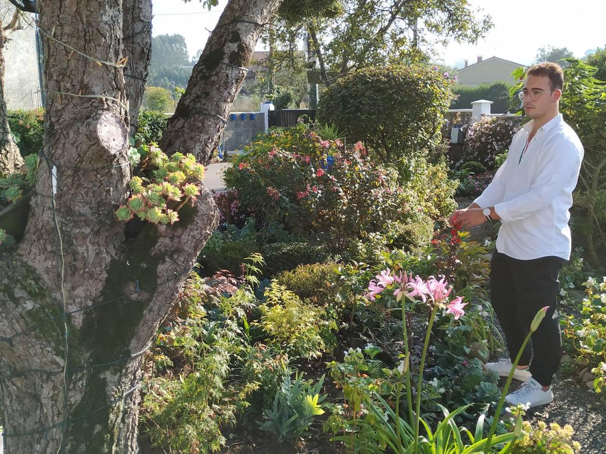 Miguel Busto comenzó a diseñar su jardín potencial, sito en Corvera, de 2.335 m2 y a trazar parterres alejados de modismos, con una tendencia orgánica, hermoseándolos con rocalla, algo de cantería y pasillos de grijo.