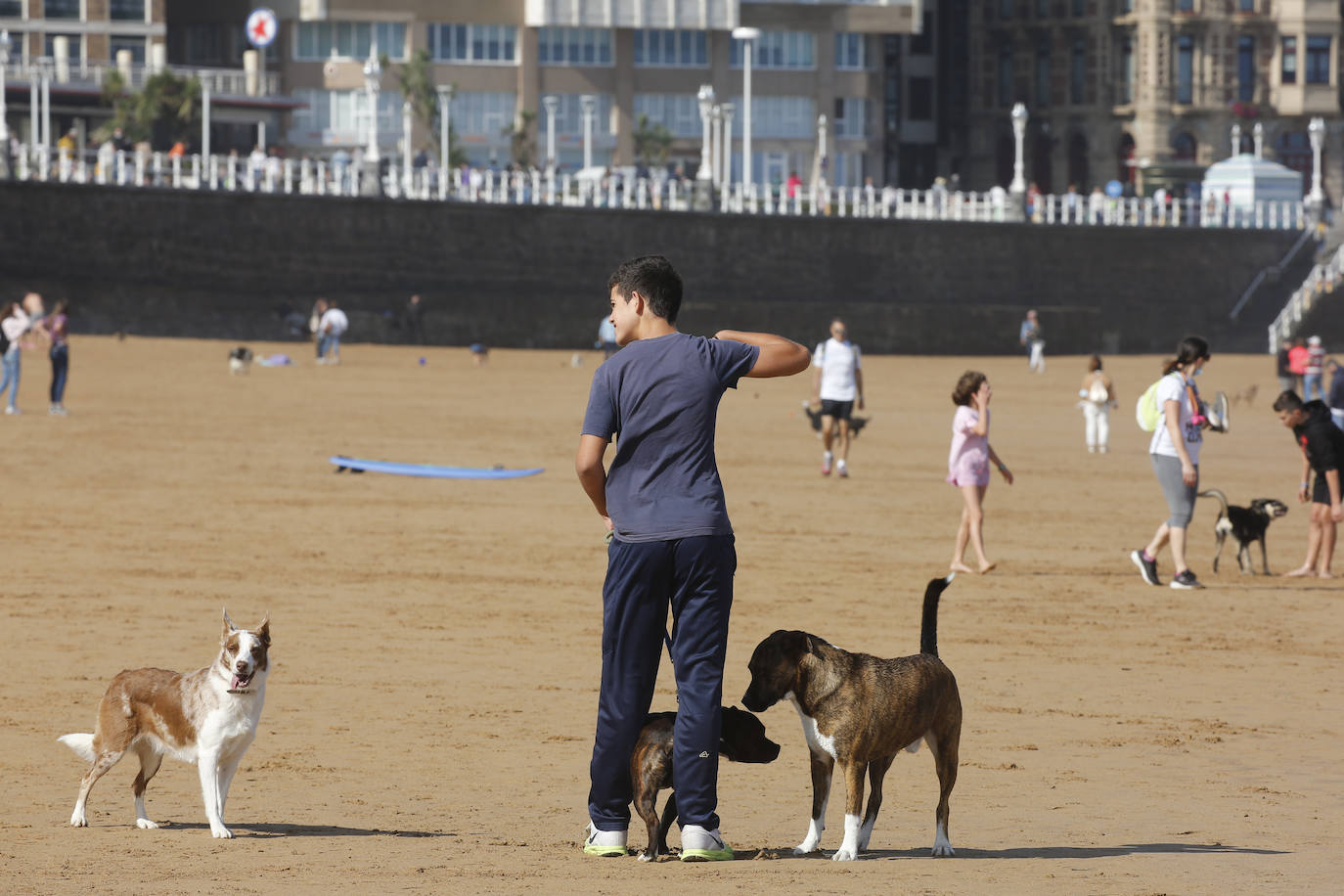 Aprovecharse hasta el último resquicio de sol y disfrutar del fin de las restricciones. Estas fueron las claves para que miles de asturianos y turistas disfrutaran de playas, rutas, terrazas y rincones turísticos. Asturias roza el lleno.