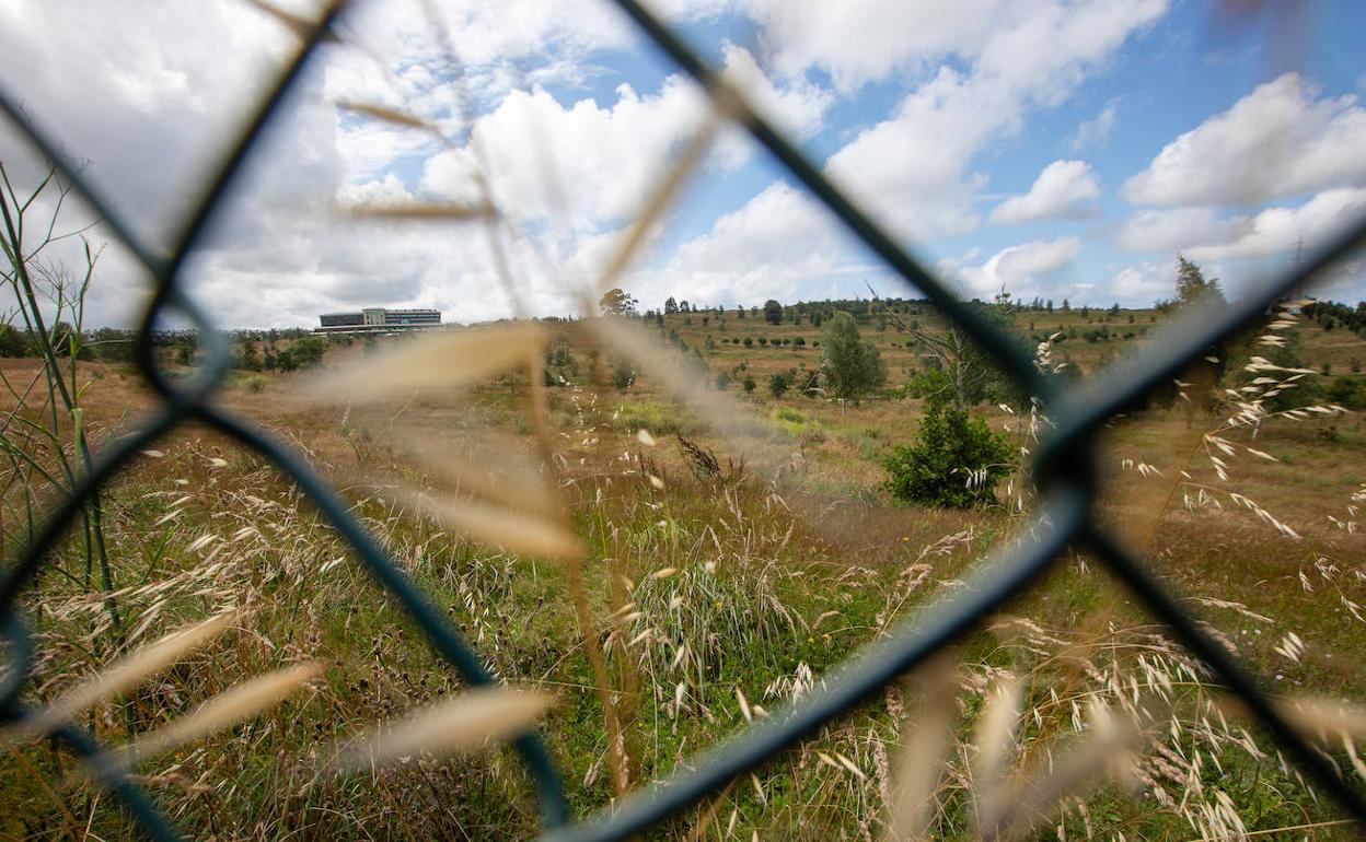 Estado de abandono que presenta el equipamiento en la actualidad. 