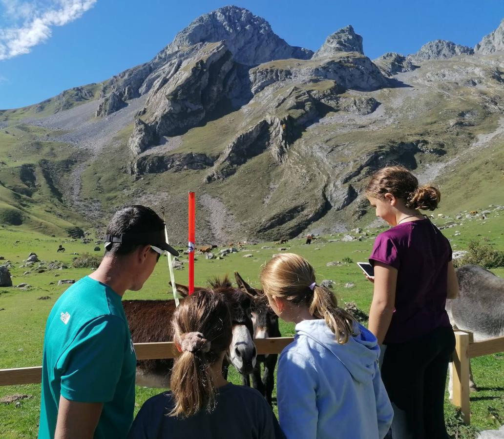 Fotos: Así preparan los niños del club SCEM de Pajares la temporada de esquí