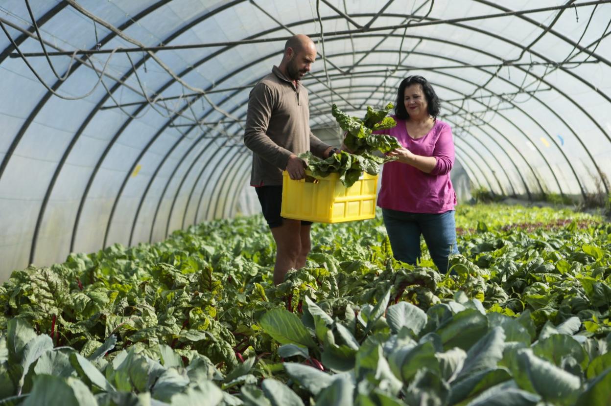 Rodrigo Caunedo e Isabel Fernández con una de las cestas del proyecto 'Caleya' en la finca de Rural Ecolab. 