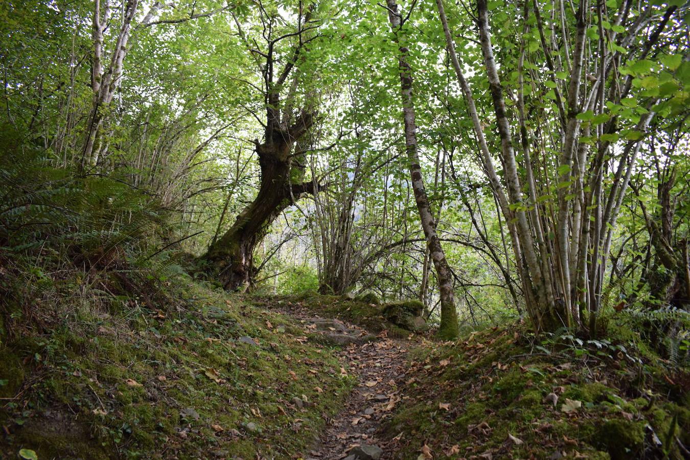 Fotos: Ruta del valle de Ponga