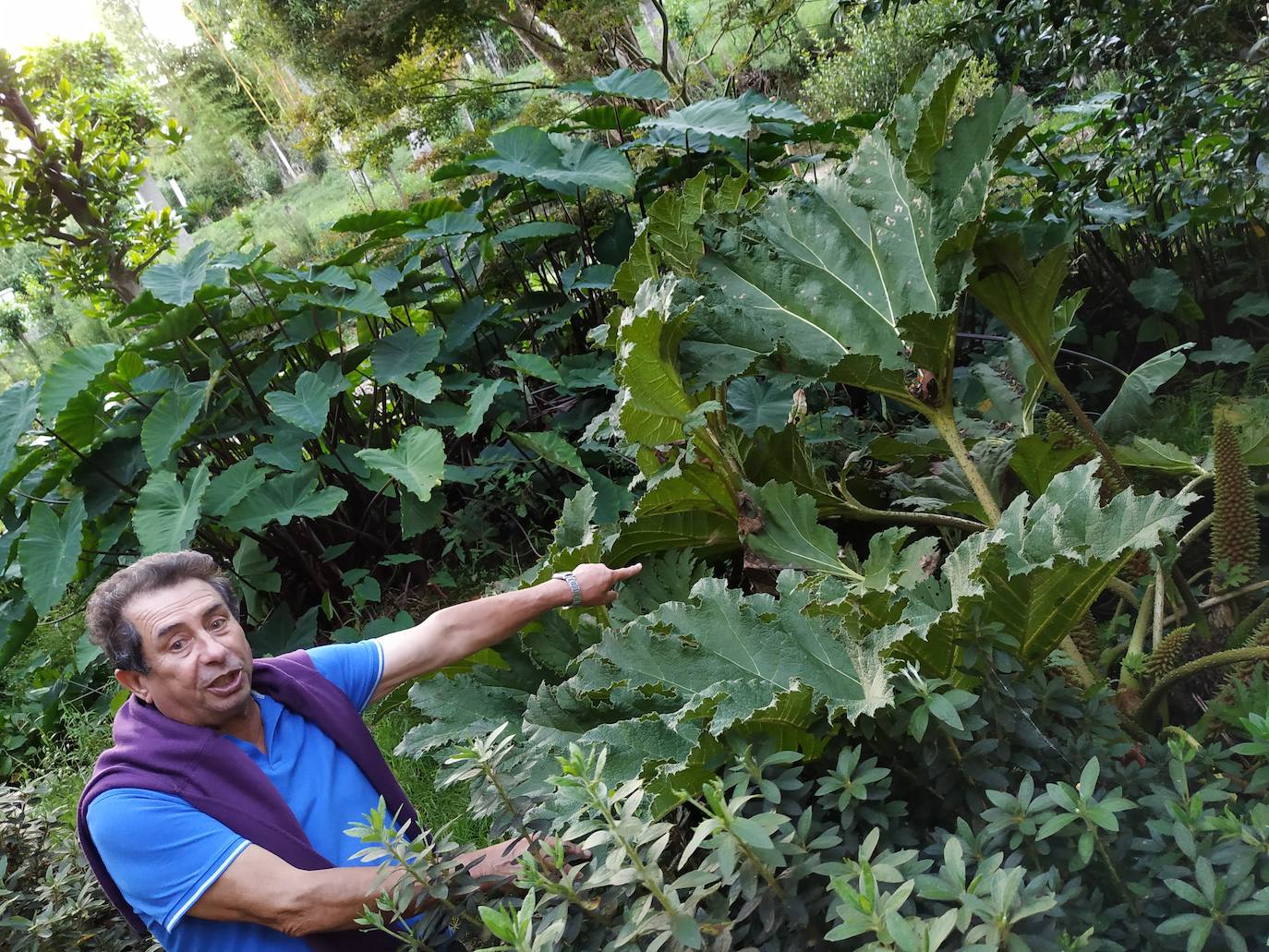 El origen de este bosque-jardín se remonta a hace 27 años, cuando José Rivera Larraya, marqués de San Nicolás de Noras, y su mujer Rosa María Pardo de Unceta, fueron comprando 58 fincas a 38 propietarios diferentes para hacer el mayor jardín botánico privado de Europa con cerca de 20 hectáreas.