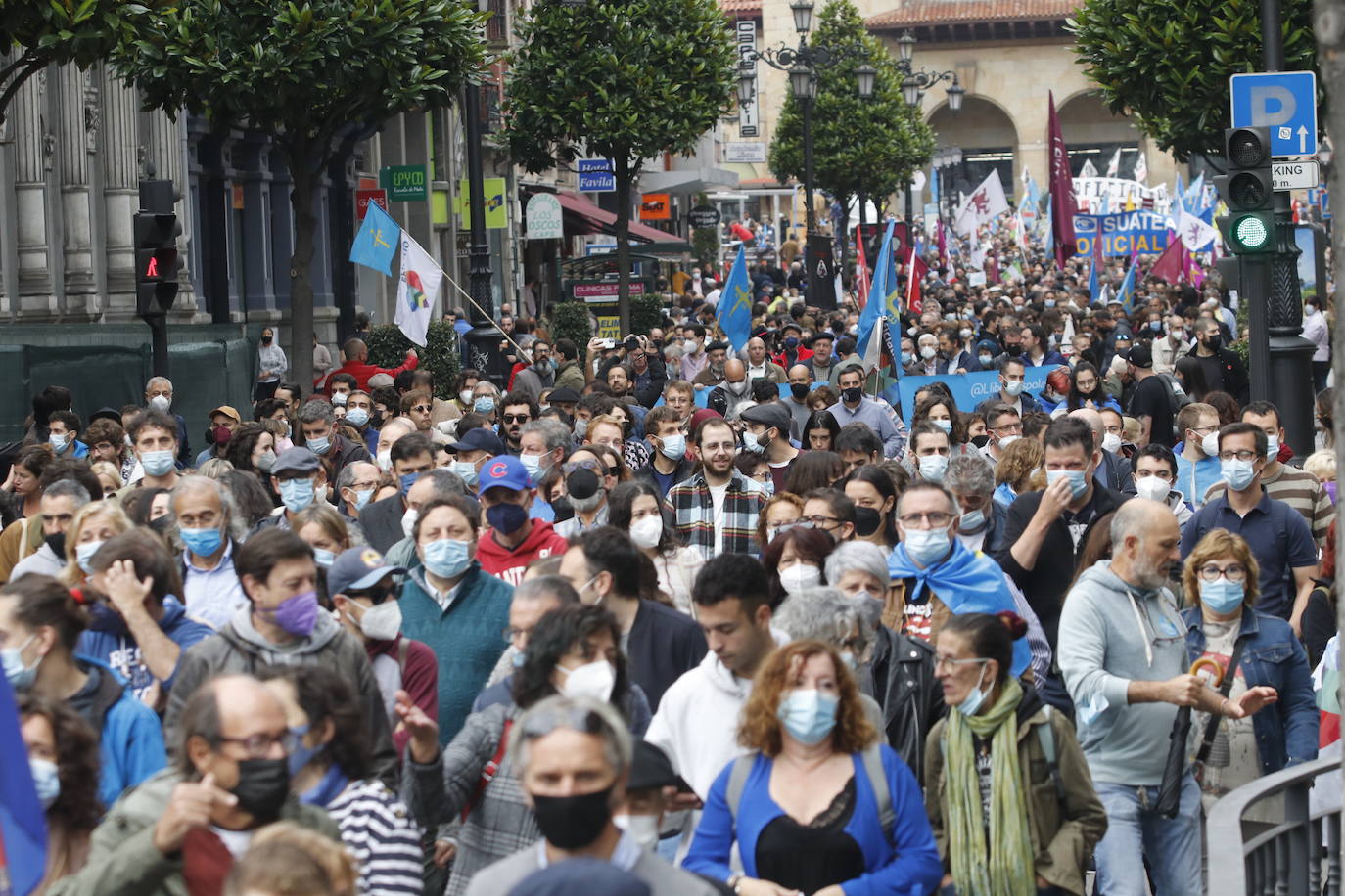 Miles de personas recorren el centro de Oviedo en la concentración por la oficialidad de la llingua. 