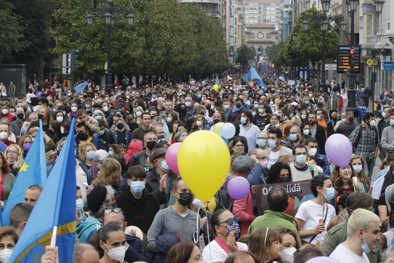 Miles de personas recorren el centro de Oviedo en la concentración por la oficialidad de la llingua. 