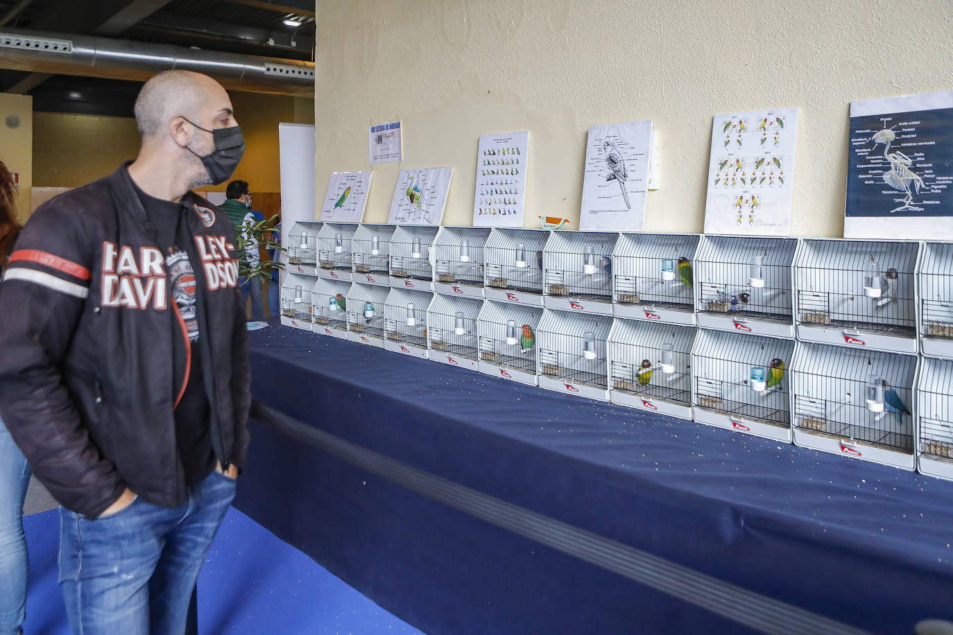 Los amantes de los animales tienen una cita este fin de semana en Gijón, donde se celebra Espacio Mascotas. Talleres, exposiciones, concursos y diversos servicios para el cuidado de las mascotas son algunos de los atractivos de estas cita. 