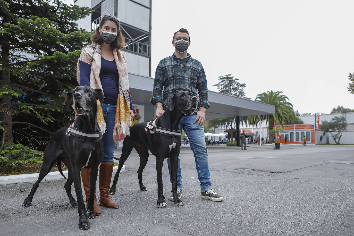 Los amantes de los animales tienen una cita este fin de semana en Gijón, donde se celebra Espacio Mascotas. Talleres, exposiciones, concursos y diversos servicios para el cuidado de las mascotas son algunos de los atractivos de estas cita. 