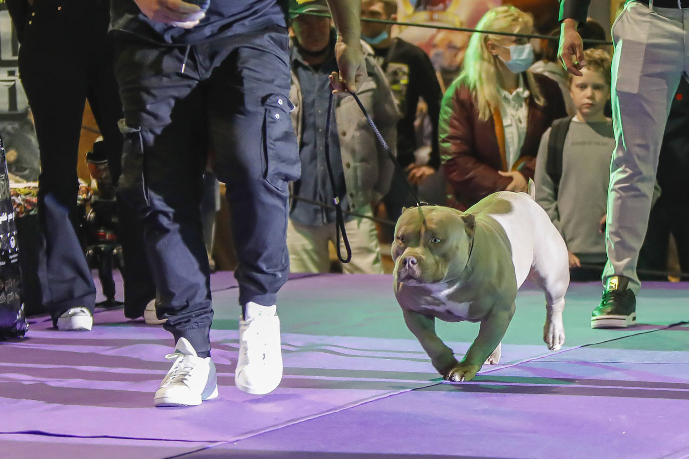 Los amantes de los animales tienen una cita este fin de semana en Gijón, donde se celebra Espacio Mascotas. Talleres, exposiciones, concursos y diversos servicios para el cuidado de las mascotas son algunos de los atractivos de estas cita. 