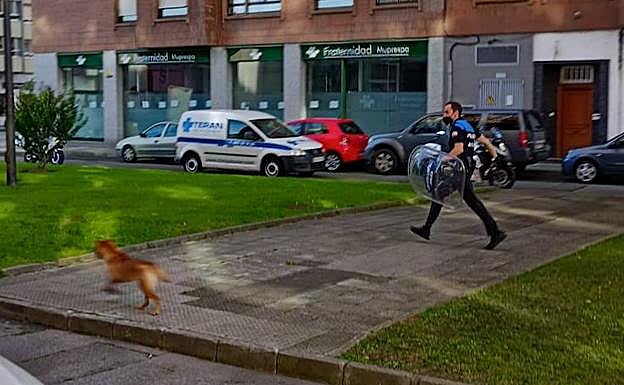 Momento en el que el perro se escapa de un agente de la Policía Local. 
