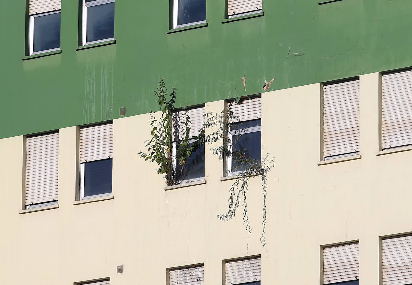 El viejo Hospitla Universitario Central de Asturias (Huca) luce lleno de desperfectos, pese a haber sido limpiado