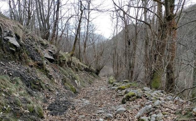 Tramo de la ruta al Valle del Río Medio tomada en invierno. 