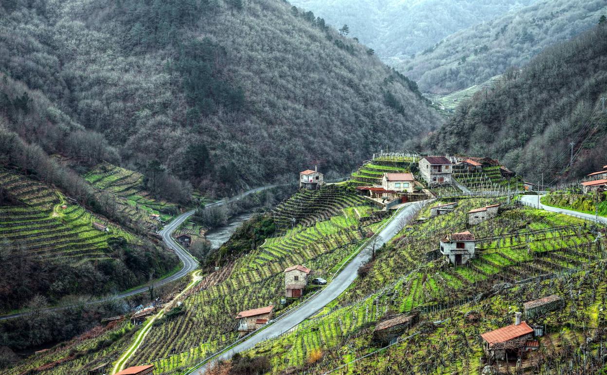 Una juez retira la custodia de un bebé a una madre por vivir «en la Galicia profunda»