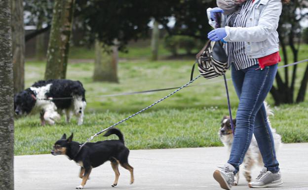 Pasear a un perro sin correa en Candamo puede suponer multas de hasta 600 euros