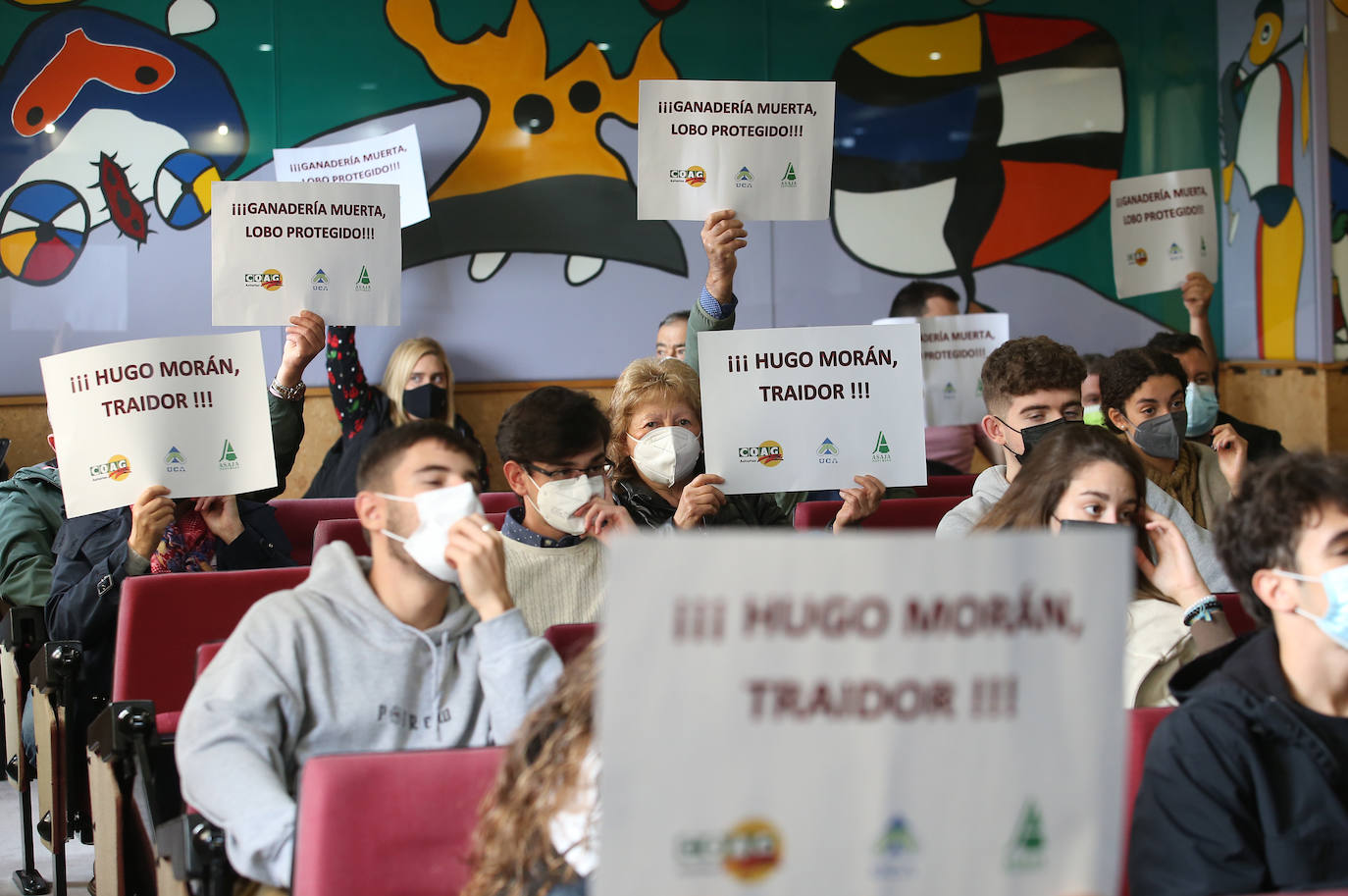 Sindicatos agrarios de Asturias se han concentrado este viernes frente a la Facultad de Derecho de la Universidad de Oviedo, donde iba a participar en un acto el secretario de Estado de Medio Ambiente, Hugo Morán. Un centenar de profesionales del sector agrario han increpado a Morán al grito de «traidor» por la inclusión del lobo en el Listado Oficial de Especies en Régimen de Protección Especial (Lespre). Finalmente, el secretario de Estado ha accedido a reunirse con ellos y cumplir así con una de las reivindicaciones del sector: el ser escuchados. 