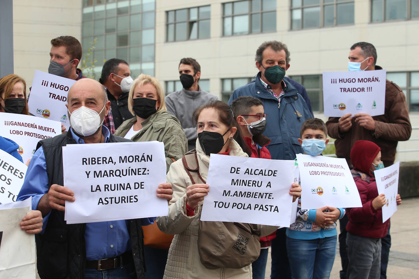 Sindicatos agrarios de Asturias se han concentrado este viernes frente a la Facultad de Derecho de la Universidad de Oviedo, donde iba a participar en un acto el secretario de Estado de Medio Ambiente, Hugo Morán. Un centenar de profesionales del sector agrario han increpado a Morán al grito de «traidor» por la inclusión del lobo en el Listado Oficial de Especies en Régimen de Protección Especial (Lespre). Finalmente, el secretario de Estado ha accedido a reunirse con ellos y cumplir así con una de las reivindicaciones del sector: el ser escuchados. 