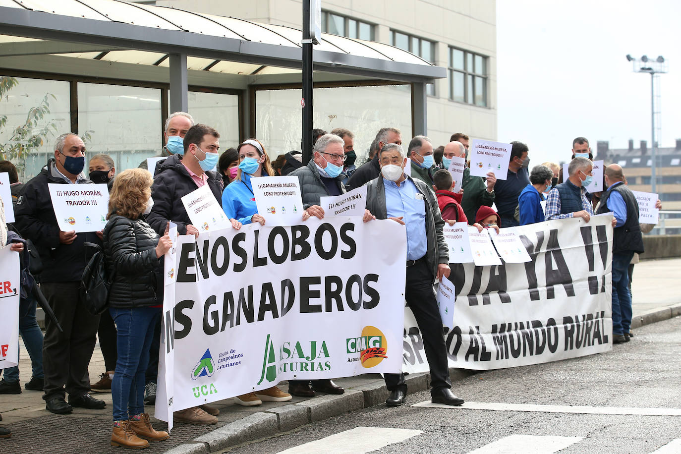 Sindicatos agrarios de Asturias se han concentrado este viernes frente a la Facultad de Derecho de la Universidad de Oviedo, donde iba a participar en un acto el secretario de Estado de Medio Ambiente, Hugo Morán. Un centenar de profesionales del sector agrario han increpado a Morán al grito de «traidor» por la inclusión del lobo en el Listado Oficial de Especies en Régimen de Protección Especial (Lespre). Finalmente, el secretario de Estado ha accedido a reunirse con ellos y cumplir así con una de las reivindicaciones del sector: el ser escuchados. 