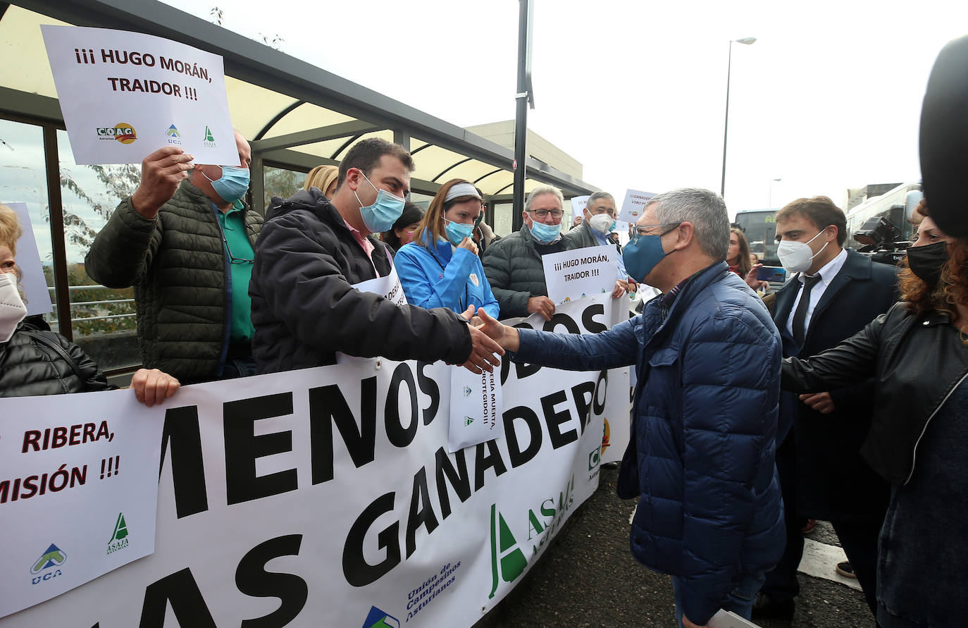 Sindicatos agrarios de Asturias se han concentrado este viernes frente a la Facultad de Derecho de la Universidad de Oviedo, donde iba a participar en un acto el secretario de Estado de Medio Ambiente, Hugo Morán. Un centenar de profesionales del sector agrario han increpado a Morán al grito de «traidor» por la inclusión del lobo en el Listado Oficial de Especies en Régimen de Protección Especial (Lespre). Finalmente, el secretario de Estado ha accedido a reunirse con ellos y cumplir así con una de las reivindicaciones del sector: el ser escuchados. 