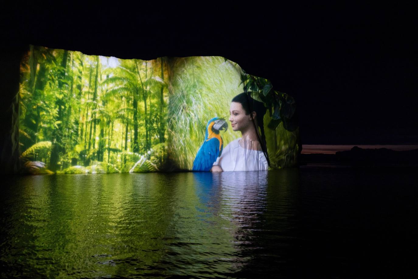 La Cumbre del Clima de la ONU ya ha comenzado y el artista suizo Gerry Hofstetter ha querido ayudar a concienciar sobre la importancia de cuidar el planeta. Hofstetter ha creado trece proyecciones en los icebergs del Ártico basadas en escenas de la naturaleza.