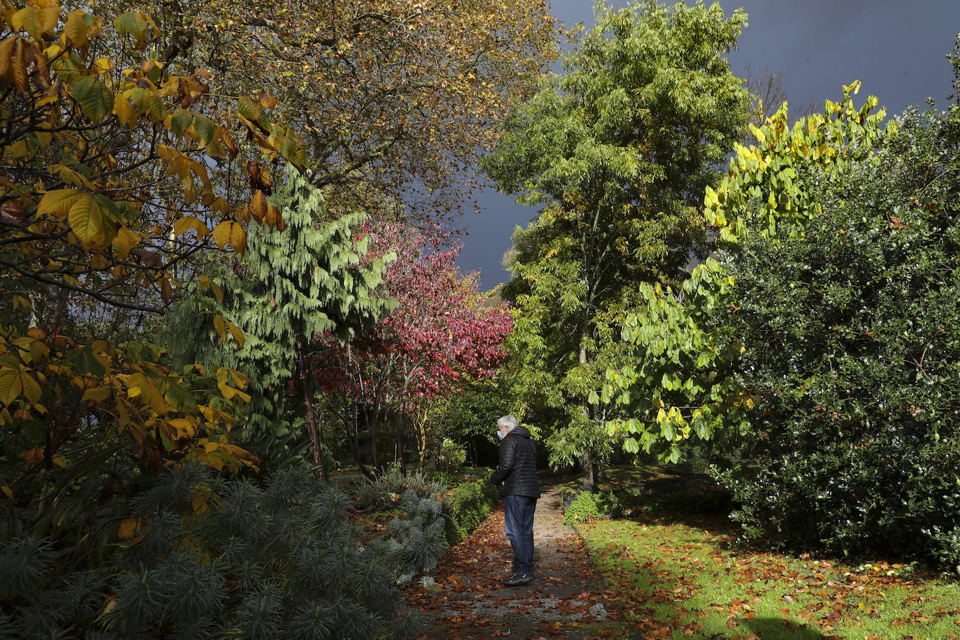 Fotos: La nieve y la lluvia, protagonistas en Asturias