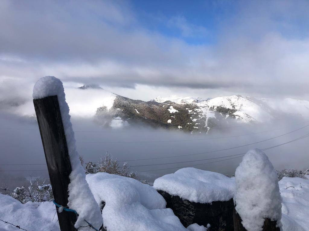 La nieve ha regresado esta semana a las zonas más altas de Asturias y ha afectado al tráfico rodado en algunos puertos de montaña 